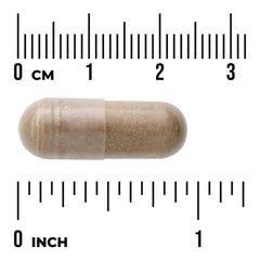 Full Spectrum Uva Ursi Leaf