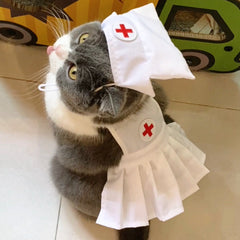 Ensemble de robes pour chat à la mode et personnalisées