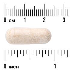 Camu Camu Berries - Standardized