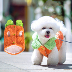 Vêtements chauds pour animal en dentelle à collerette style coréen