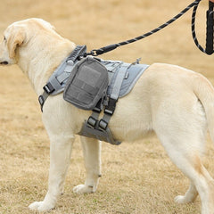 Nouveau gilet tactique pour grands chiens, anti-éclaboussures pour l’extérieur