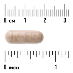 Herbal Extract Memory Complex