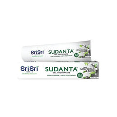 Sri Sri Tattva dentifrice en gel Sudanta au charbon et au sel