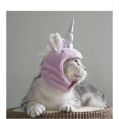 Chapeau pour animal, chapeau à tirer pour chat, universel, Halloween