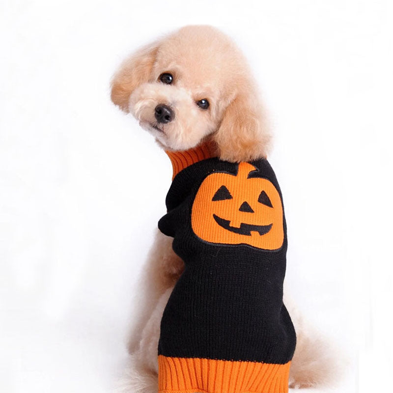 Pull tricoté citrouille d'Halloween pour animal et chien