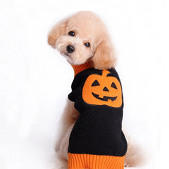 Pull tricoté citrouille d'Halloween pour animal et chien