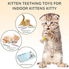 Retro Shaw Kitten Toys Catnip Ropes Cat Chew Toys, 6 Pack, Kitten Teething Toys for Indoor Cats Kitty, Safe Kitty Kicker Sticks Dental Toy