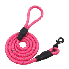 Correas con cinturón de entrenamiento