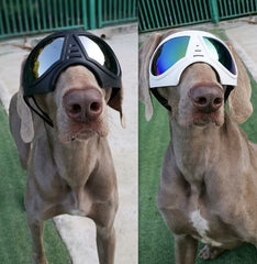 Gafas impermeables y resistentes a la nieve para perros, gafas de sol cómodas para pastor alemán, con montura suave