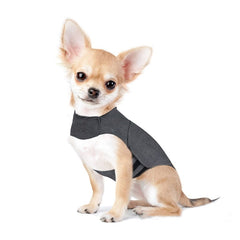 Vêtement pour chien, veste anti-anxiété et gilet chaud