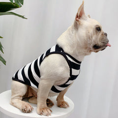 Vêtements d'été pour chien, tendance et personnalisés, modèle léger