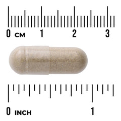Sleep Essentials Includes GABA and Melatonin - 2 Pack