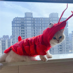 Vêtements de homard pour chat pour Halloween, le Nouvel An et Noël
