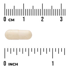Folate 5-Methyltetrahydrofolic Acid - Bioactive Form