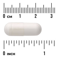 Chondroitin Sulfate