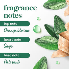 Dove Solid Stick Palo Santo & Sage for 72-Hour Sweat and Odor Protection Alcohol Free 2.6 oz