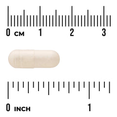 Gamma Oryzanol - from Rice Bran
