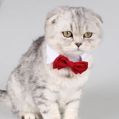Fashion Pet Supplies Rote Schleife aus Baumwolle