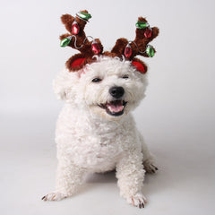 Fournitures pour animaux, chapeau de Noël pour chien, décorations pour chat