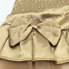 Robe de mariée pour chien