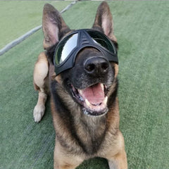 Gafas de sol para perros grandes con diseño de tinta