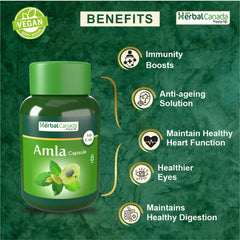 Cápsulas de Amla Herbal Canada