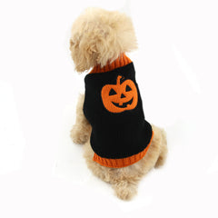 Pull tricoté citrouille d'Halloween pour animal et chien