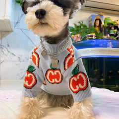 Pull rembourré pour chiens et chats