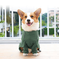 Vêtement pour chien avec ouverture pour laisse et éléments réfléchissants