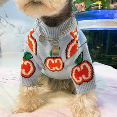 Pull rembourré pour chiens et chats
