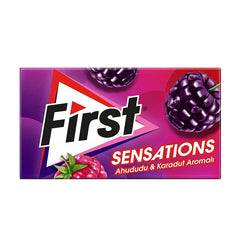 First Sensations Sugar-Free Chewing Gum - Raspberry & Blackberry Flavor, Refreshing and Long-Lasting, 27g
