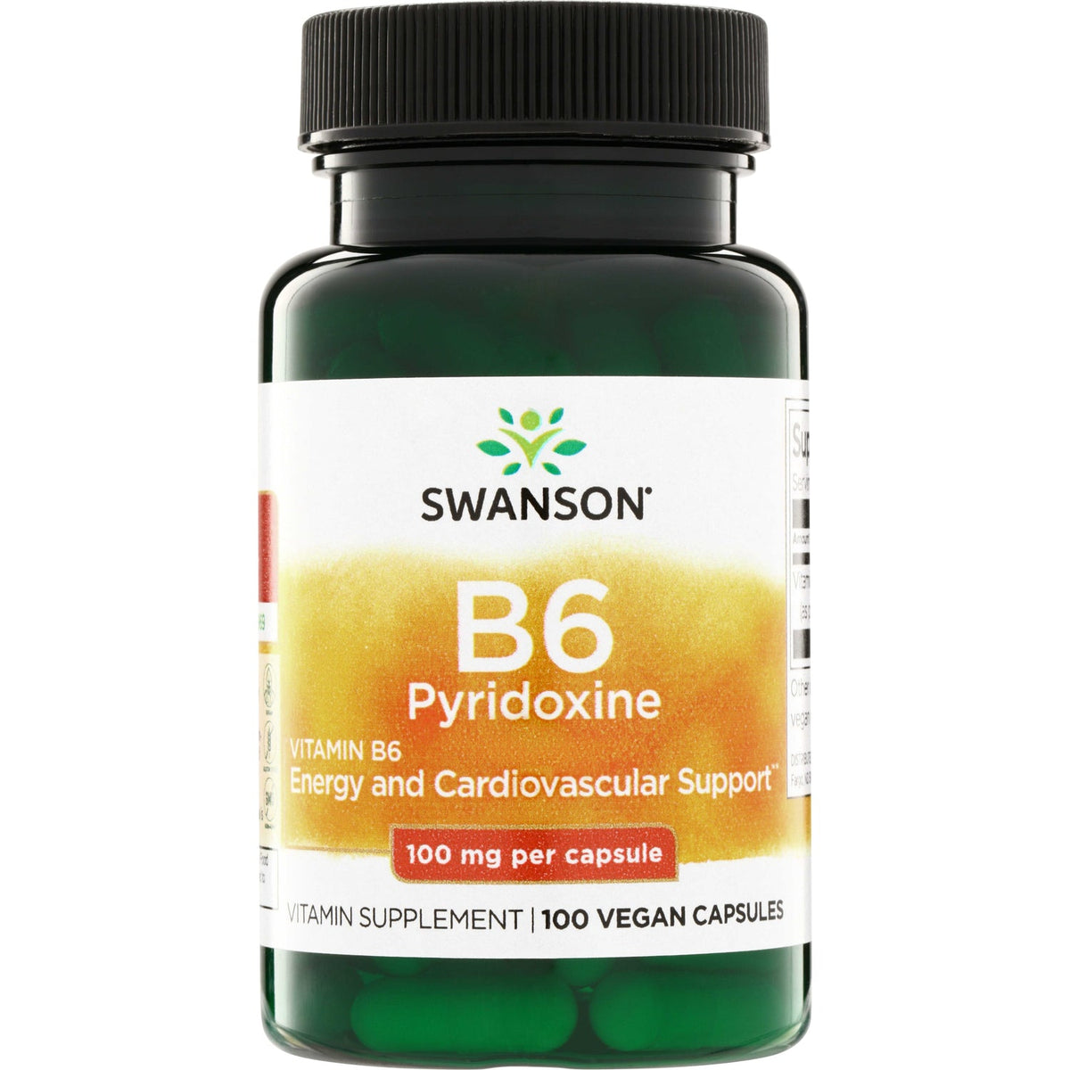 Vitamin B6 Pyridoxine