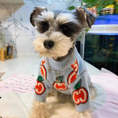 Pull rembourré pour chiens et chats