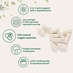 Lion Mane Capsule Refined Sulfur Phosphorus