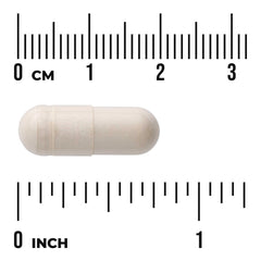Boswellia Serrata Extract