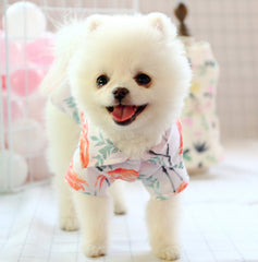 Chemise d'été fine et mignonne pour petit chien poméranien, plus petit qu'un ours