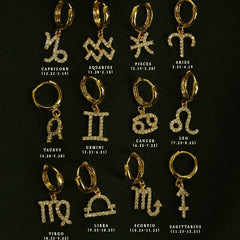 Zodiac Micro Paved Zircon Earrings