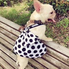 Jupe tutu noire mignonne pour chien senior