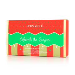 Celebrate the Season | Holiday Ornament Gift Set