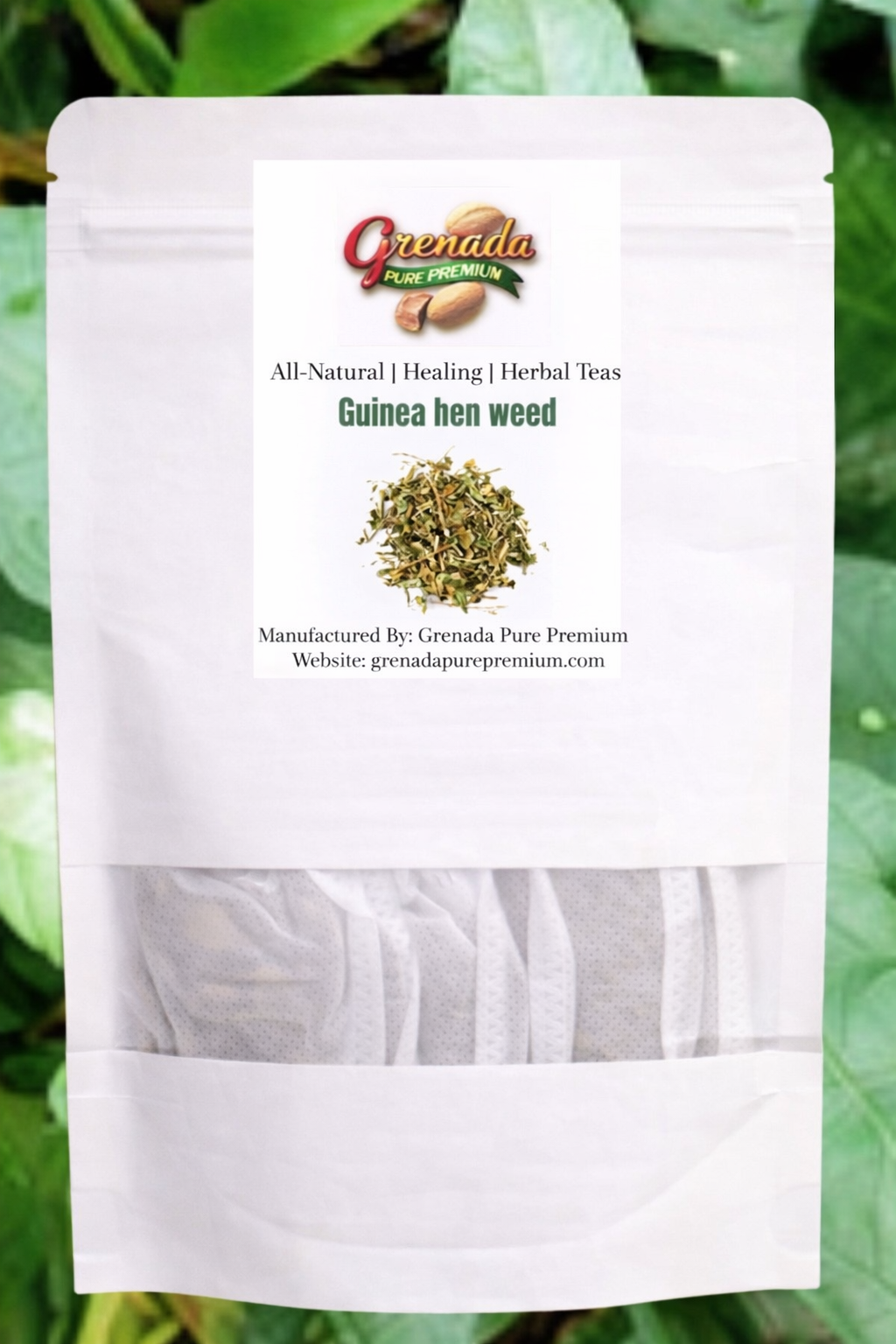 Guinea Hen Weed Tea Bags – Premium Herbal Tea