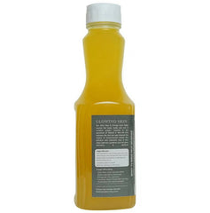 Baidyanath Jhansi jus d'aloe vera prêt à boire