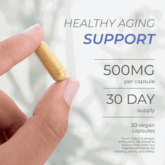 Fisetin capsules for cellular health, 500 mg per capsule, 30 day supply, vegan options for healthy aging support.