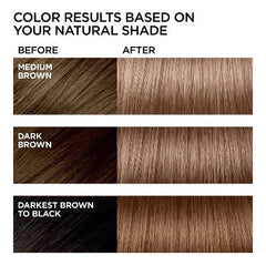 L'Oreal Paris Feria Shimmering Color B61 Hi-Lift Cool Brown 1 Kit - Imperfect Box