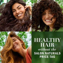 Shampooing sans sulfates Herbal Essences à l’eucalyptus pour cuir chevelu sec, 13.5 fl oz - Contenant imparfait