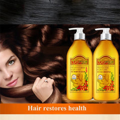 Ginger Root Nourishing Shampoo & Conditioner Set