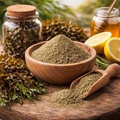Bladderwrack Powder