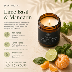 Timeless Candle - Lime + Basil + Mandarin