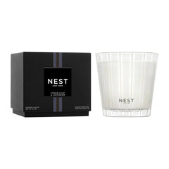 Nest New York Cedar Leaf and Lavender Candle