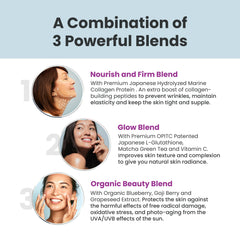 Wellbeing Nutrition Skin Fuel Comprimés effervescents