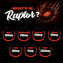 Dr Morpen Raptor